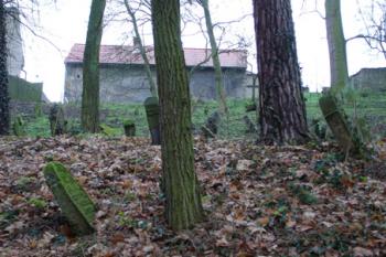  ( © Iva Spurná 20.1.2007)