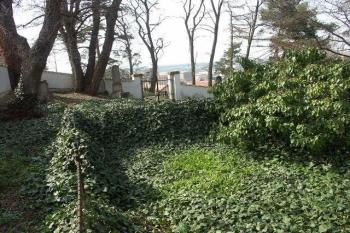 Celkový pohled směrem k bráně (© Milan Caha, 03/2007)