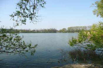 rybník Nová louka ( © Jan P. Štěpánek 05/2009)