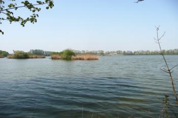rybník Budní ( © Jan P. Štěpánek 05/2009)