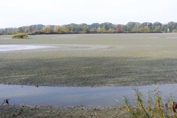 Rybník Křivý po výlovu ( © Jan P. Štěpánek 11/2006)