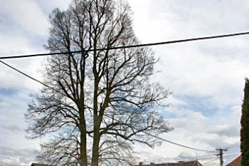 Celkový pohled ( © Luděk Pitter 04/2006)