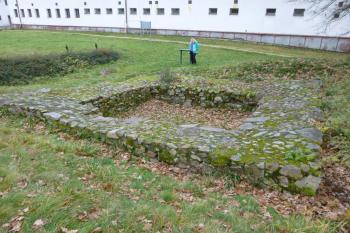 pozůstatky tvrze Dalovice  (© Vlastislav Mareček, 11/2016)