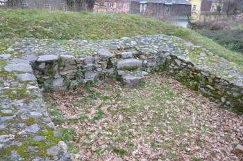 pozůstatky tvrze Dalovice  (© Vlastislav Mareček, 11/2016)