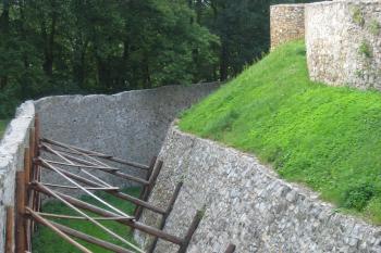 (© Zdeněk Susa, 07/2012)