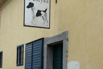  (© Alena Volná, 4/2007)