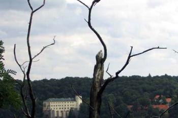  (© Jiří Cukr 07/2005)