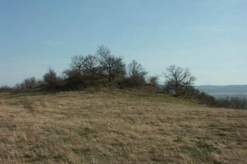 Košík - celkový pohled (© Milan Caha, 03/2007)
