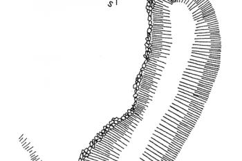 Terenní náčrt (Úlovec Jiří: Ohrožené hrady, zámky a tvrze Čech, 2. díl, [N-Ž], Libri, 2005)