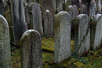 Židovský hřbitov - Heřmanův Městec ( © Radovan Smokoň 03/2007)