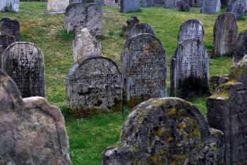 Židovský hřbitov - Heřmanův Městec ( © Radovan Smokoň 03/2007)