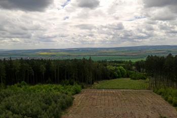 Pohled z rozhledny na Plumlovsko (© Ivo Rozehnal, 05/2014)