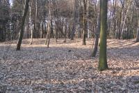 Hradce