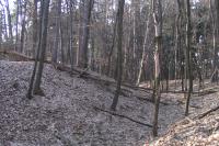 Hradce