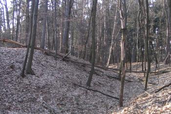 Příkop (© Petr Nožička, 04/2006)
