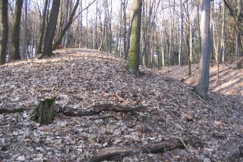 Příkop a val (© Petr Nožička, 04/2006)