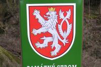 Husova lípa