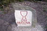 Husova lípa