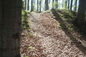 Černov - vstupní brána (© Jan Celý, 04/2007)