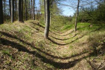 Černov - zbytky příkopu (© Jan Celý, 04/2007)