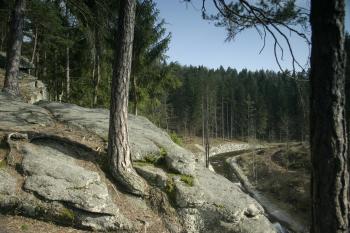 Pohled do údolí řeky Černé (© Václav Tomášek, 04/2009)