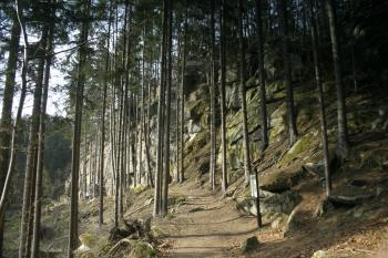 naučná stezka (© Václav Tomášek, 04/2009)