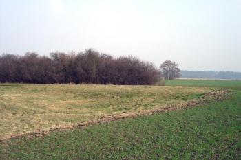  ( © iV 21. 2. 2007)
