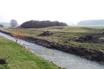  ( © iV 21. 2. 2007)