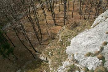 Pohled z můstku na přístupovou cestu, která se nachází cca 50 metrů pod vyhlídkou. ( © Miroslav BITTER 04/2007)