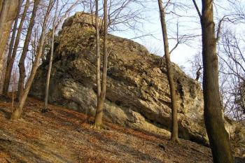 Raškův kámen ( © Jan P. Štěpánek 04/2007)