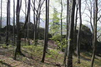 pohled na Raškův kámen od severovýchodu ( © Jan P. Štěpánek 04/2008)