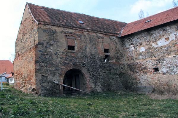 Netunice