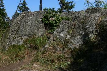Nejvyšší plošina areálu - předpokládaný prostor hradní věže ( © Petr Turyna 07/2006)