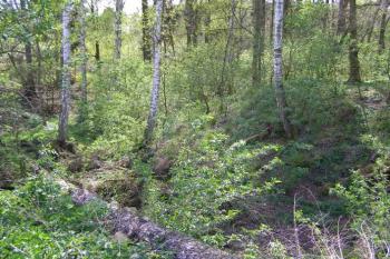 Tvrz Újezdec ( © M.S. 04/2007)