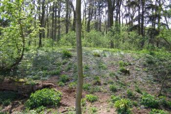 Tvrz Újezdec ( © M.S. 04/2007)