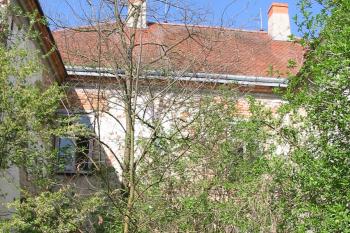 východní strana zámku,totálně zarostlá (© D Dohňanský, 04/2015)