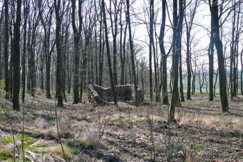  ( © Šklíba 6. 4. 2007)