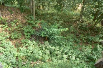 Val vyházený před příkopem na východní straně (© Prudký Martin, 08/2012)
