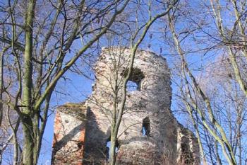 Od cesty ( © Jiří Čížek 03/2005)