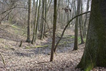  ( © iV 21. 2. 2007)