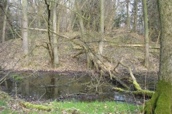  ( © iV 21. 2. 2007)