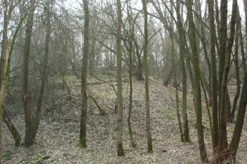  ( © iV 21. 2. 2007)