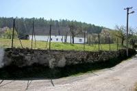 Miřenice