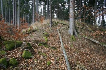 Jižní nároží tvrziště (© Filip Matoušek 12/2006)