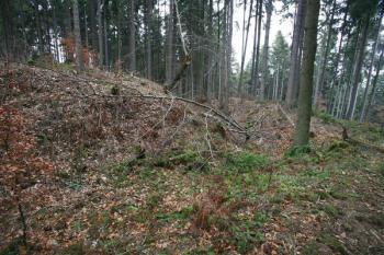 Východní část tvrziště (vlevo) a příkop nad opyšem na východní straně ( © Filip Matoušek 12/2006)