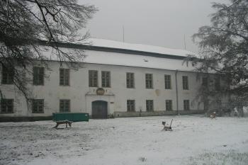 současný pohled na zdevastovaný zámek- severní průčelí (© D Dohňanský, 12/2014)