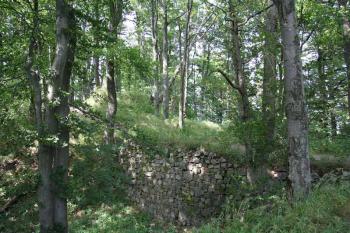 Vpředu zachovaný příkop (© Luděk Pitter 07/2005)