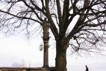 Celkový pohled na plastiku Panny Marie a blízkou lípu ( © Jan P. Štěpánek 04/2007)