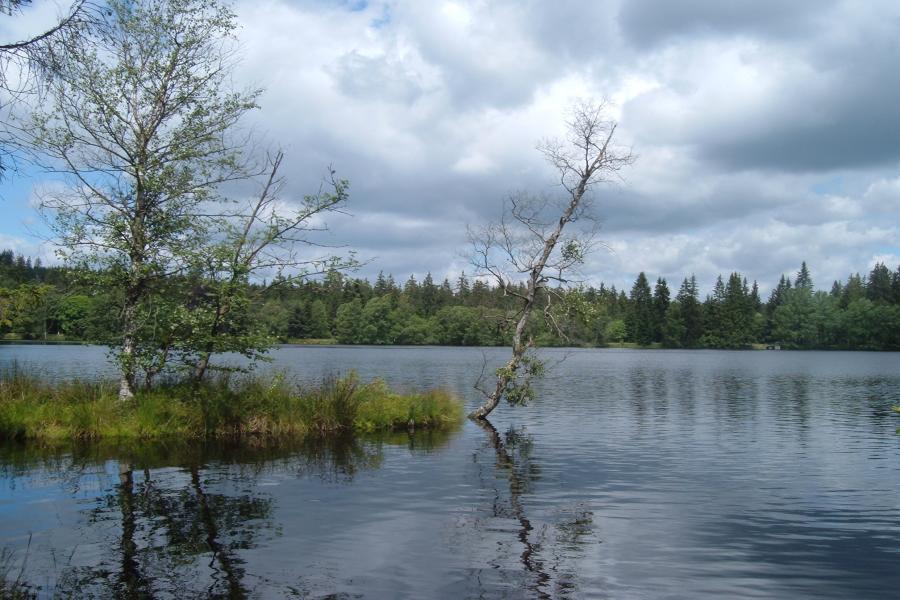 Kladský rybník