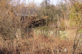 Pohled od silnice na pozůstatky vyzděného náhonu nedaleko zaniklého hamru (© Jan P. Štěpánek 03/2007)